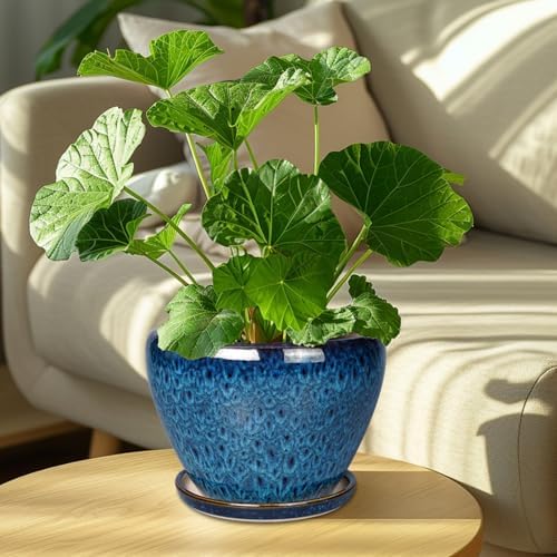 Ceramicfor 8 Inch Ceramic Plant Pot, Ceramic Planter Pot for Indoor Outdoor Plants, Round Flower Pot with Drainage Hole and Saucer, Blue - Image 3