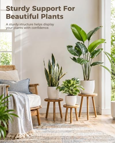 Bamworld 3 Pack Plant Stand Indoor Single Plant Stand for Multiple Plants Corner Plant Stool Wooden Plant Stands for Patio Garden Balcony Living Room Bedroom(Nature) - Image 2