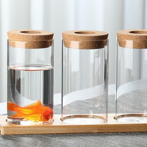 Clear Glass Planter Vase with Wooden Lid and Bamboo Stand for Hydroponic Plants, Succulents, Cut Flowers Gifts for Women Mom Plant Lovers (1, 2.55 * 3.93inch) - Image 6