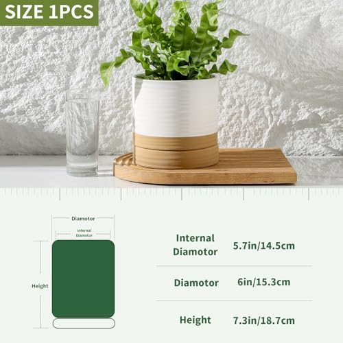 HASENSE 6 Inch Indoor Plant Pot, Ceramic Flower Planter with Drainage Hole and Saucer, Modern Pots for Plant with Two-Tone Design, Perfect for Wedding Birthday Gift, White-Brown - Image 3