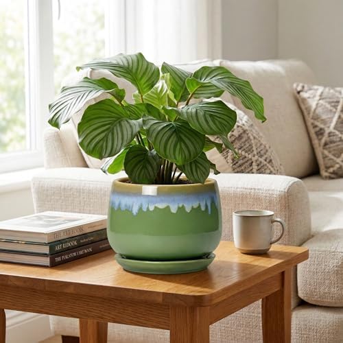 9 Inch Indoor Plant Pots - Ceramic Planters for Indoor Plants, Decorative Planter with Drainage and Saucer, Round Flower Pot, Porch Garden Office Decor, Gardening Gifts for Women, Green-Blue - Image 5