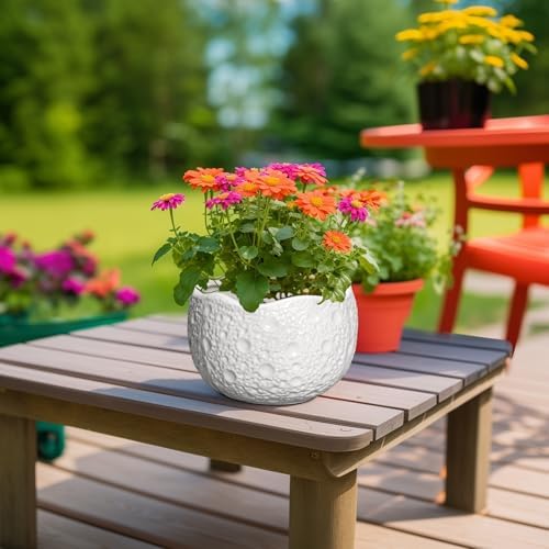 Ceramic Plant Pot, 8 Inch Round Planter with Drainage, White - Image 5