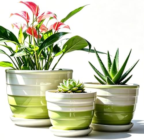 Vintage Flower Pots for Indoor Plant, Round Ceramic Plant Pots with Drainage Holes and Saucers, 6.7/5.2/3.9 Inches Retro Flower Planters Set of 3 by FOLKLORE13