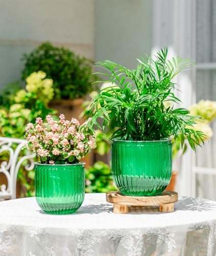 Melphoe Self Watering Pots for Indoor Plants Planter, 6.5/5.3 Inch 2 Pack Planters Self Watering Plant Pots for Flower, Houseplants, Succulent, African Violets and Cactus with Drainage - Image 3