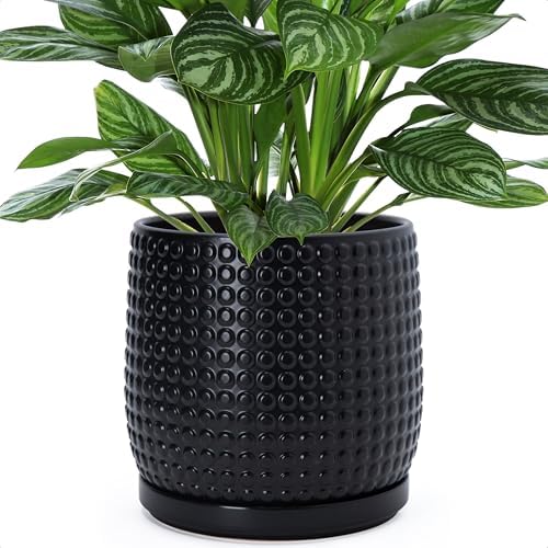 D'vine Dev Beaded Ceramic Pot with Saucer, 8 in, Ebony Matte, 27-C-Q-6 by DvineDevPlanterPotsandStand