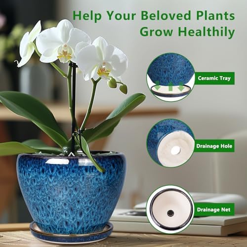 Ceramicfor 8 Inch Ceramic Plant Pot, Ceramic Planter Pot for Indoor Outdoor Plants, Round Flower Pot with Drainage Hole and Saucer, Blue - Image 6