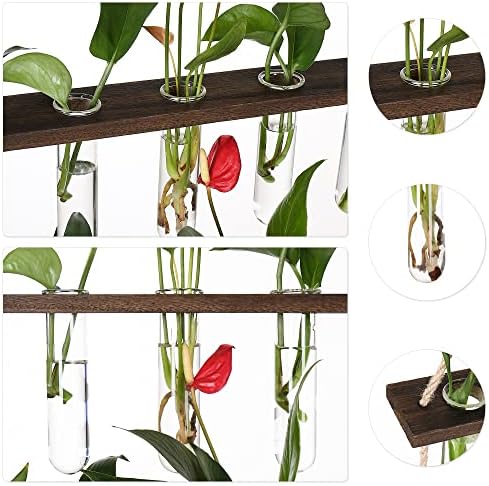 YIBOT Plant Propagation Stations with Wooden Stand 15 Glass Test Tubes Vase - Image 3