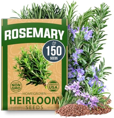 HOME GROWN Rosemary Seeds, 150 Seeds, Salvia rosmarinus by HOMEGROWN