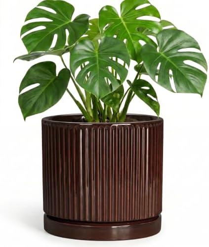 8 Inch Ceramic Flower Pots, Round Planter with Saucer, Brown by Unknown