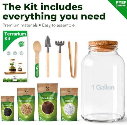 Terrarium Kit for Plants DIY (1 Gallon) - Image 5