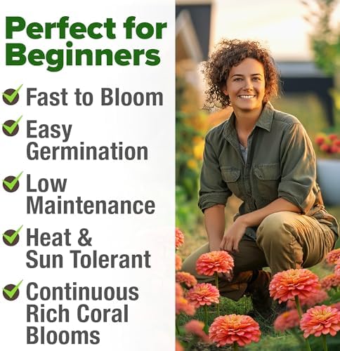 HOME GROWN Zinnia Seeds, Coral, 300 Seeds, Zinnia elegans - Image 5