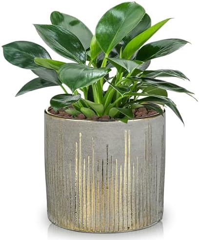 Oairse Small Ceramic Pot for Indoor Plants, 5.3 inch Plant Pot with Drainage Hole Decorative Texture Gold Planter Indoor Outdoor Flower Pots for Succulent Snake Plant Pothos Orchid by Oairse