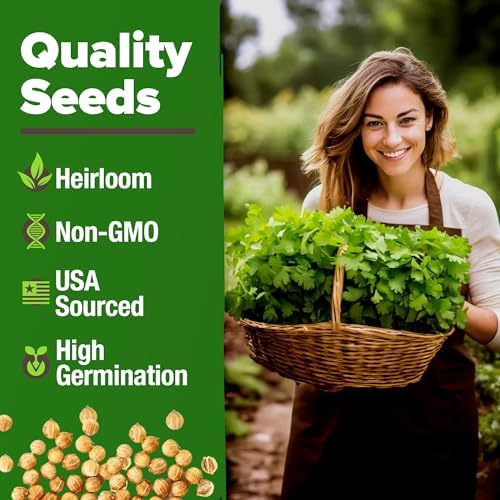 HOME GROWN Cilantro Coriander Seeds, 500+ Seeds - Image 3