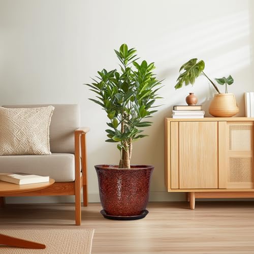 Ceramic Pots for Plants - 12 Inch Plant Pot for Indoor Outdoor, Round Planter with Drainage Hole and Saucer, Large Decorative Planters, Modern Flower Pot, Office Decor, Garden Gifts, Red - Image 7