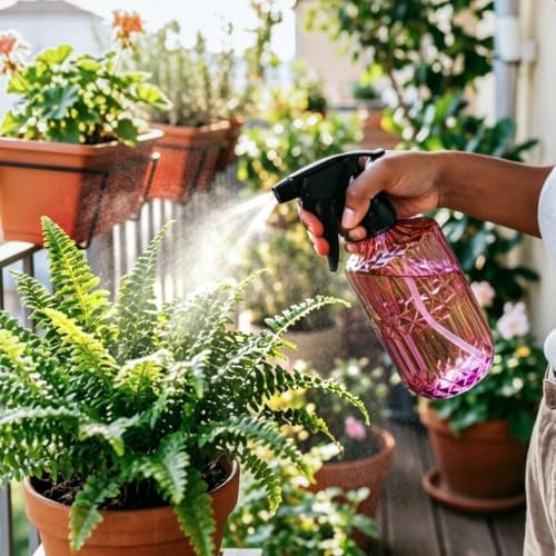 OFFIDIX Glass Plant Mister 13.5 oz Fine Mist Plant Spray Bottle Amaranth - Image 2