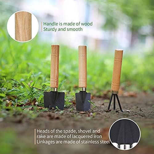 11Pcs Succulent Tools, Mini Garden Tools, Plant Repotting Set(No Flowerpot) - Image 4