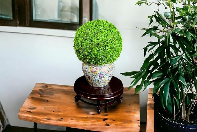 6" Wooden Rosewood Fishbowl Display Vase Stand Plant Pot Display Stand - Image 3