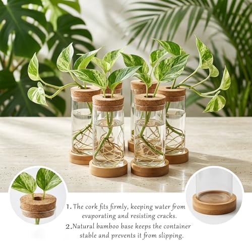 16 Pcs Propagation Vases with Bamboo Stand and Hole Lid, Glass Plant Propagation for Plants Water Hydroponic Desktop Office Home Vase Decoration(Classic Style) - Image 3