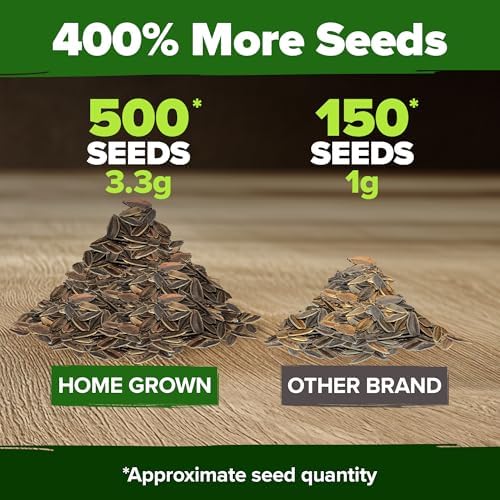 HOME GROWN Zinnia Seeds, Envy, 500 Seeds, Zinnia elegans - Image 3
