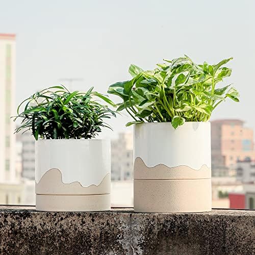 Nihow Ceramic Plant Pot,6 Inch Planter with Drainage Hole&Saucer for Indoor - Image 5