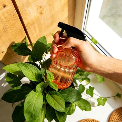Vintage Glass Spray Bottle, 15oz, Orange, Adjustable Nozzle, 2Pcs - Image 6