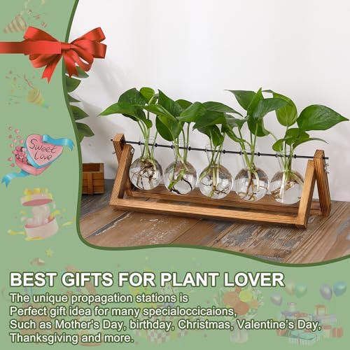 YIBOT Plant Propagation Stations with Wooden Stand & 5 Glass Bulb Vases - Image 4