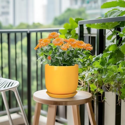 Indoor Plant Pot - 7 Inch Modern Round Ceramic Planter for Indoor Outdoor Plants with Drainage Hole and Saucer, Home Garden Office House Decor, Yellow - Image 5