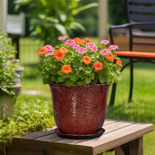 Ceramic Pots for Plants - 12 Inch Plant Pot for Indoor Outdoor, Round Planter with Drainage Hole and Saucer, Large Decorative Planters, Modern Flower Pot, Office Decor, Garden Gifts, Red - Image 4