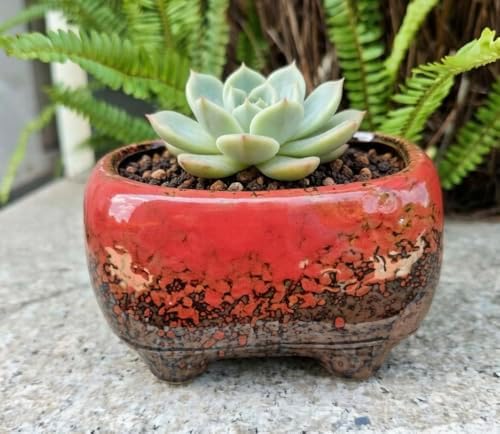 Cute 4.7 Inch Rectangle Ceramic Home Garden Decoration Succulent Cactus Flower Pots Container -Plant Not Included (Red) - Image 2