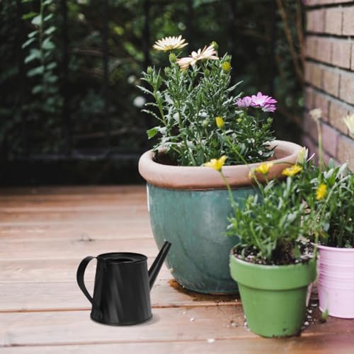 Toddmomy Succulent Watering can for Indoor Plants Small Metal Water can with Comfortable Handle Mini Garden Jug for Desk Table Bonsai 5.90 X 2.91 X 2.75 in - Image 4