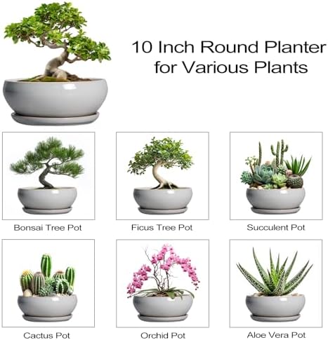 SQOWL Bonsai Pots - 10 Inch Ceramic Succulent Pots with Drainage Hole and Saucer, Large Shallow Indoor Planter, Bowl Round Planter Outdoor, Living Room Decor, Plant Lover Gifts, Gray - Image 7