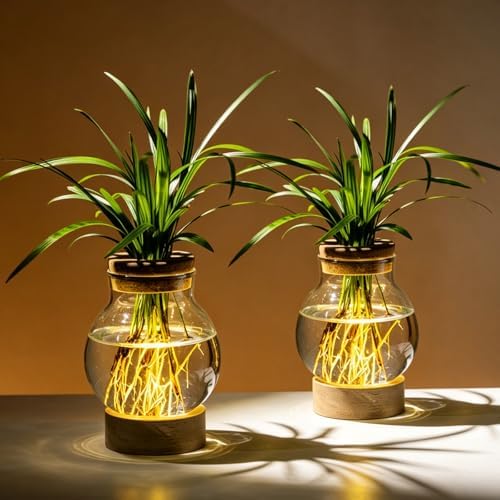 Propagation Stations, Plant Propagation Station with Light Base, Glass Propagation Vases, Hydroponic Vase for Plants, Glass Terrarium for Home Office Windowsill Tabletop Decoration (2) by JGKYLDZ