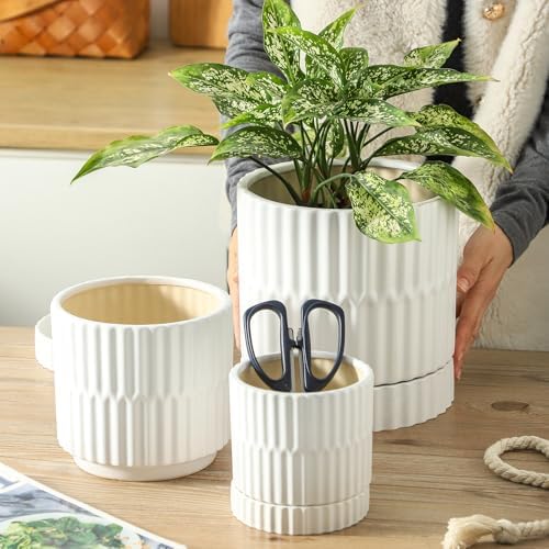 HASENSE Ceramic Plant Pots Set of 3, 8/6/4.6 Inch Cylinder Flower Planters with Drainage Saucers, Vertical Ribbed Modern White for Home Office & Outdoor Plants - Image 4