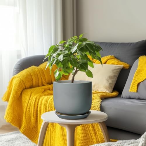 Ceramic Planter for Indoor Outdoor Plants - Cylinder Decorative 8 Inch Plant Pot with Drainage Hole and Saucer, Modern Home Decor, Gray - Image 6