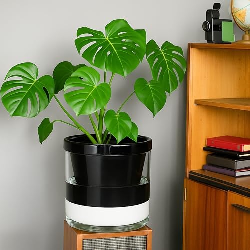 D'vine Dev Self-Watering Black Terracotta Planter Pot, 10 in, 37-X-D-3 - Image 5