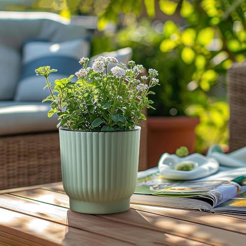 T4U Self Watering Pots for Indoor Plants, 4.5 Inch 6 Pack Planter Green - Image 6