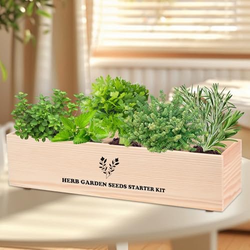 Indoor Herb Garden Starter Kit, Including A Complete Gardening Tools for Women Parents Gift - Image 7