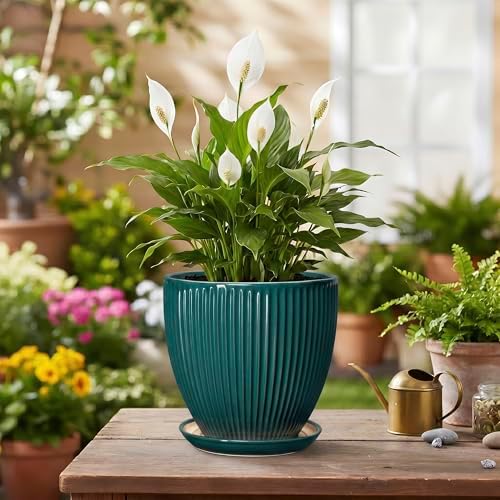Ceramic Flower Pots, 6 Inch Planters with Drainage Hole and Saucer, Decorative Round Plant Pots for Indoor Plants, Modern Succulent Pot, Office Bedroom Decor, Plant Lover Gifts, Blackish Green - Image 4