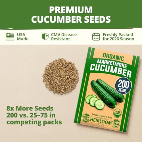 HOME GROWN Organic Marketmore Cucumber Seeds, 200+ Seeds, Cucumis sativus - Image 7