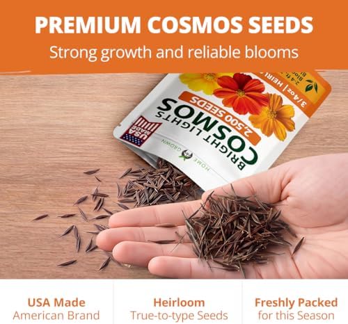 HOME GROWN Cosmos Bright Lights Mix 2500 Flower Seeds Cosmos sulphureus - Image 6