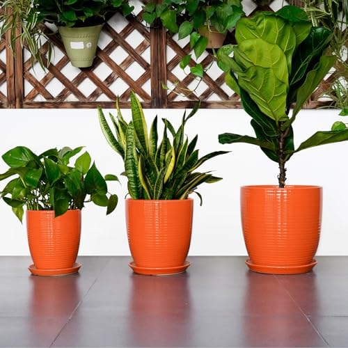 8 Inch Plant Pot, Ceramic Planters for Plants with Drainage and Saucer, Orange - Image 7