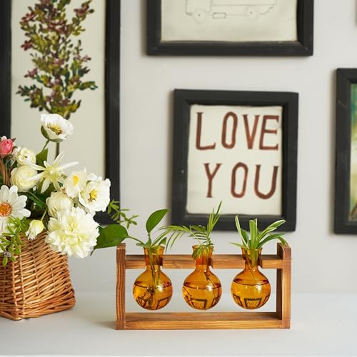 Kingbuy Glass Plant Terrarium Propagation Station - 3 Bulb Colored Vases with Retro Wood Stand Indoor Garden Planter - Wall Mount Desktop Decor for Home Kitchen Wedding, Plant Lover Gift, Amber - Image 2