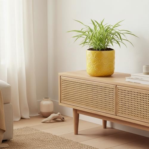 Boho Ceramic Planter，6.7" Contemporary Flower Pot for Indoor Outdoor Plants - Image 2
