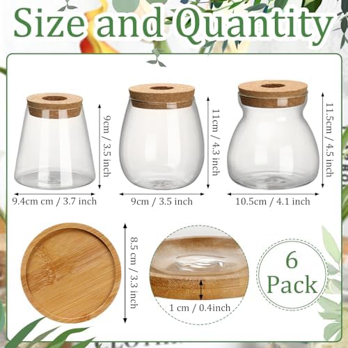 6 Pcs Glass Plant Propagation Station with Wood Lid & Stand, Novel Style - Image 2