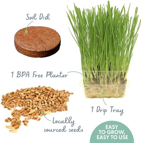 Cat Grass Growing Kit -Organic Seed, Soil and BPA Free containers (Non GMO). All of Our Seed is Locally sourced! (1 Pack) - Image 2