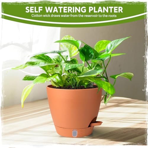 8 Inch Self Watering Pots for Indoor Plants, Plastic Planters with Deep Reservoir & Drainage Holes, Flower Pots for Monstera, Snake Plant & Peace Lily, Worry-Free Vacation Care (Terra Cotta, 8 inch) - Image 7