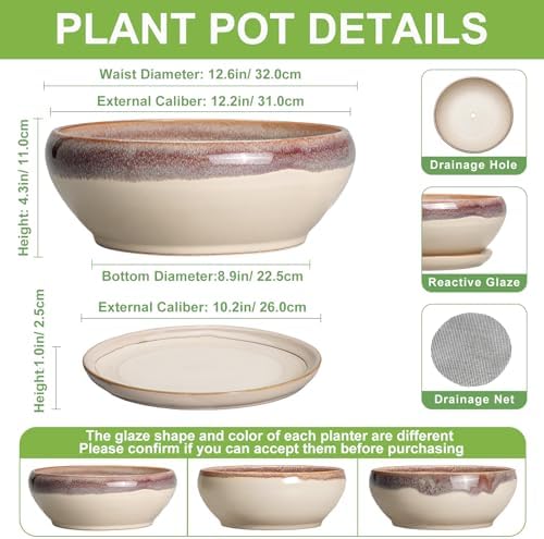 SQOWL Bonsai Pots 12 Inch, Ceramic Succulent Planters with Saucer, Beige - Image 2