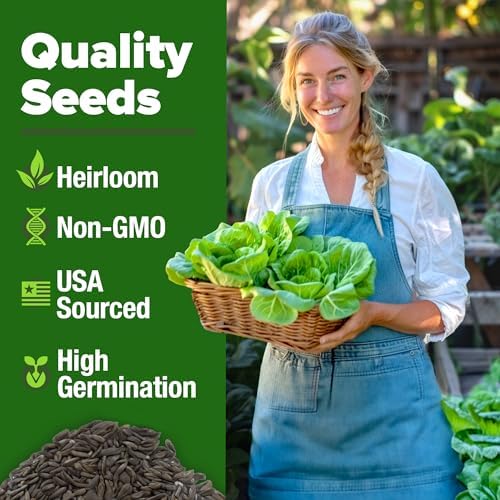HOME GROWN Buttercrunch Lettuce Seeds, 1,975+ Seeds, Lactuca Sativa - Image 3