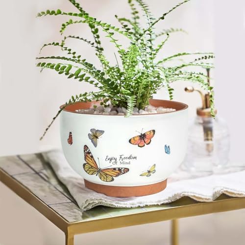 Terracotta Pots, 8+6 Inch Plant Pots, 2 Pcs with Drainage Holes - Image 2