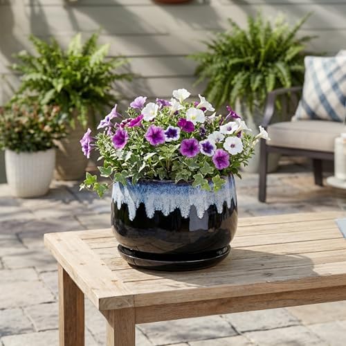 Ceramic Plant Pots - 9 Inch Flower Pots for Indoor Plants, Decorative Pots for Plants with Drainage and Saucer, Large Planter, House Office Decor, Gardening Gifts for Women, Black-Blue - Image 3